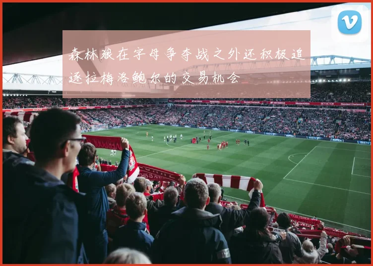 森林狼在字母争夺战之外还积极追逐拉梅洛鲍尔的交易机会
