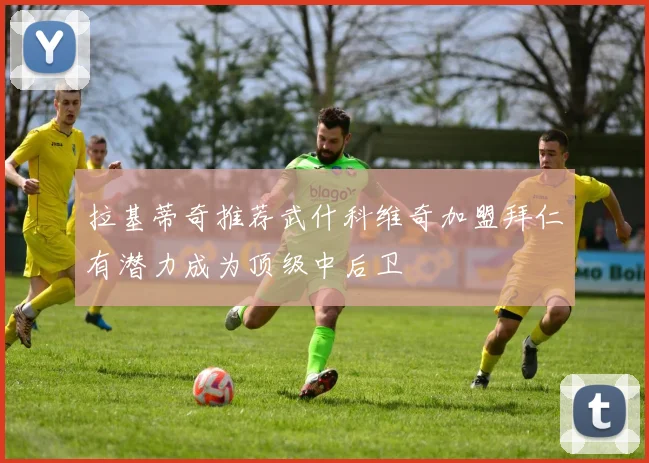 拉基蒂奇推荐武什科维奇加盟拜仁有潜力成为顶级中后卫