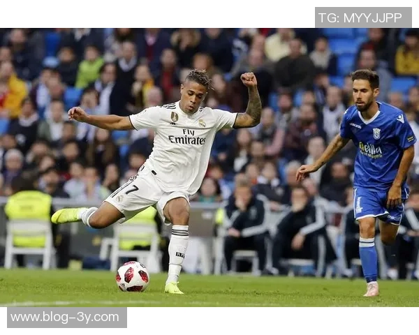 阿韦洛亚合同延续至未来皇马冬窗或无新援引援计划 阿韦洛亚合同延续至未来皇马冬窗或无新援引援计划